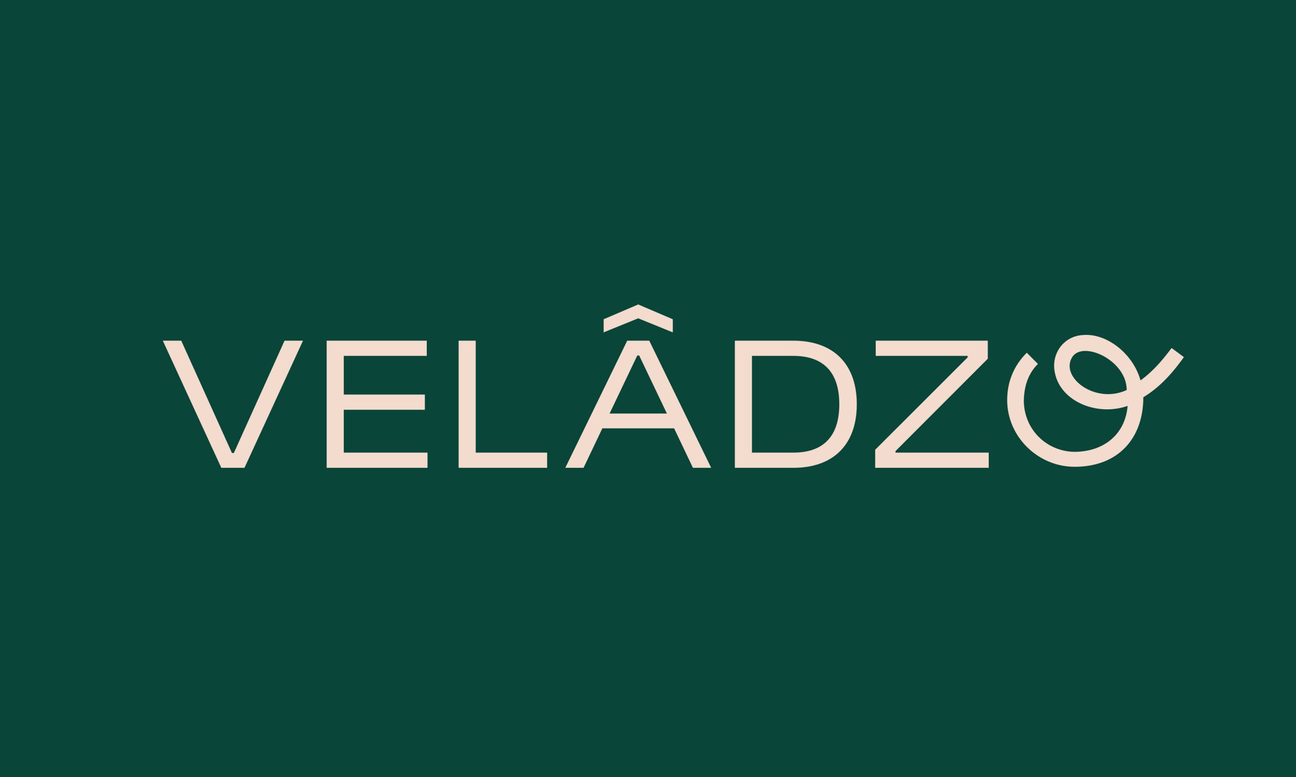 Logo pour Velâdzo.
Réalisé par Au-delà studio.
Aloïs Ancenay & Nelly Damas